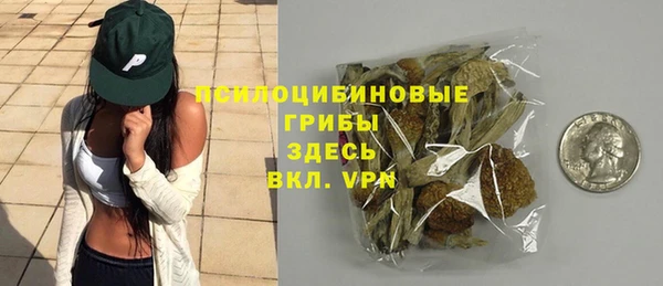 трава Бородино