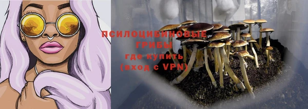 синтетический гашиш Богданович
