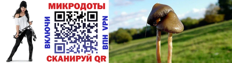 Псилоцибиновые грибы Cubensis Корсаков
